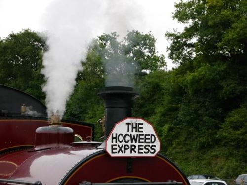 Steam Train Day  +School of Witchcraft and Wizardry